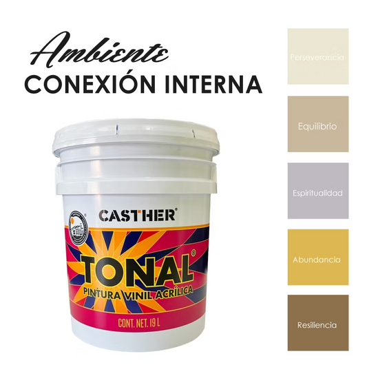 Conexión Interna